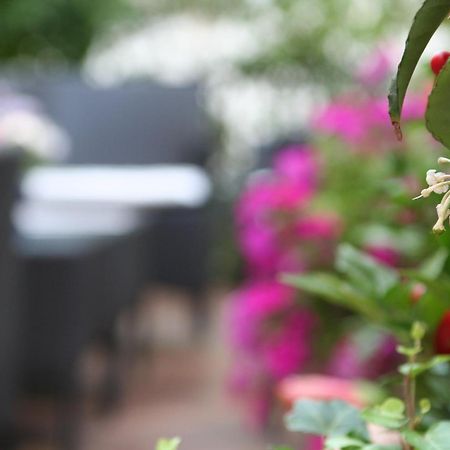 Hotel Charleston Сполето Екстер'єр фото